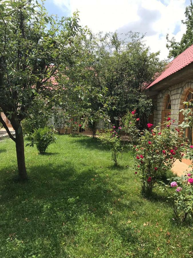 Sheki Apartments Bagian luar foto